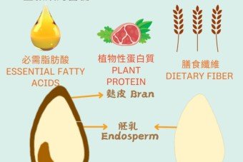 Take a Closer Look at Whole Grain Foods